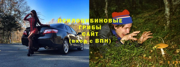 мяу мяу мука Заводоуковск