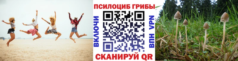 Галлюциногенные грибы прущие грибы Бирюсинск